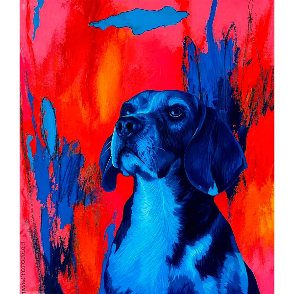 La Nube